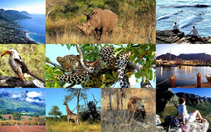 Things To See In South Africa