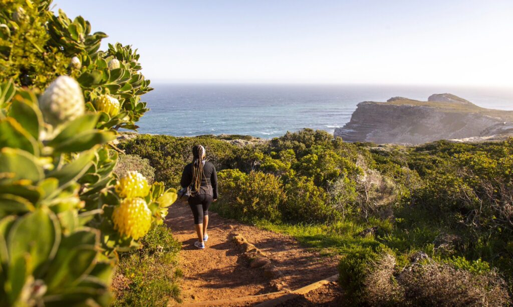 What Are Some Ways to Get Around Cape Town For A Solo Traveler?