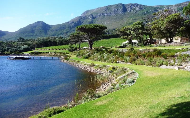 Cape Point Vineyards Market