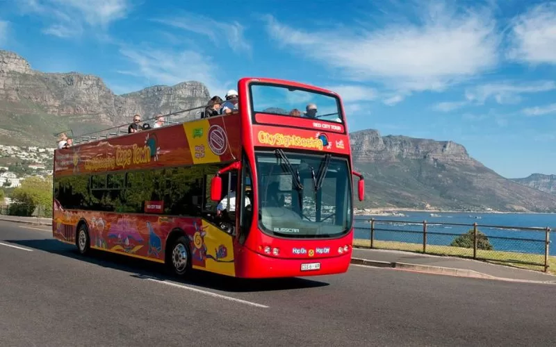 Table Mountain Day Tours