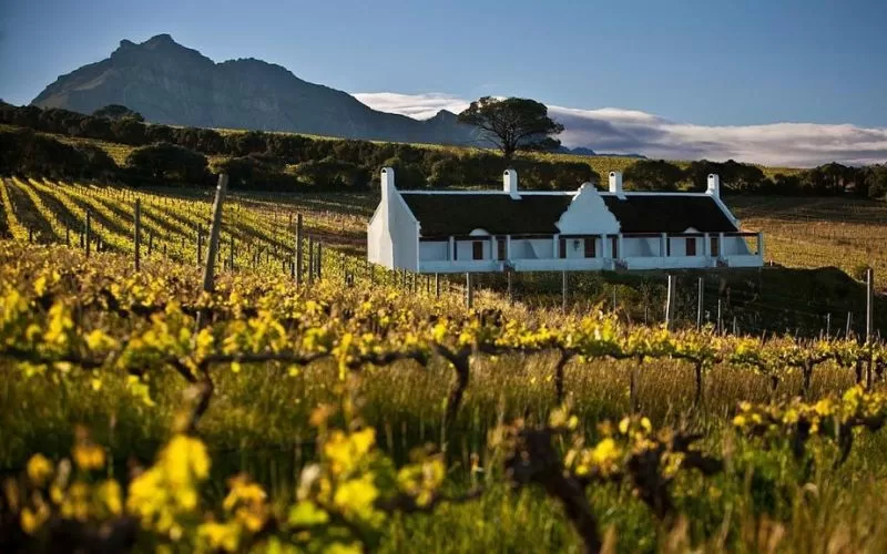 Stellenbosch Cultural Gems