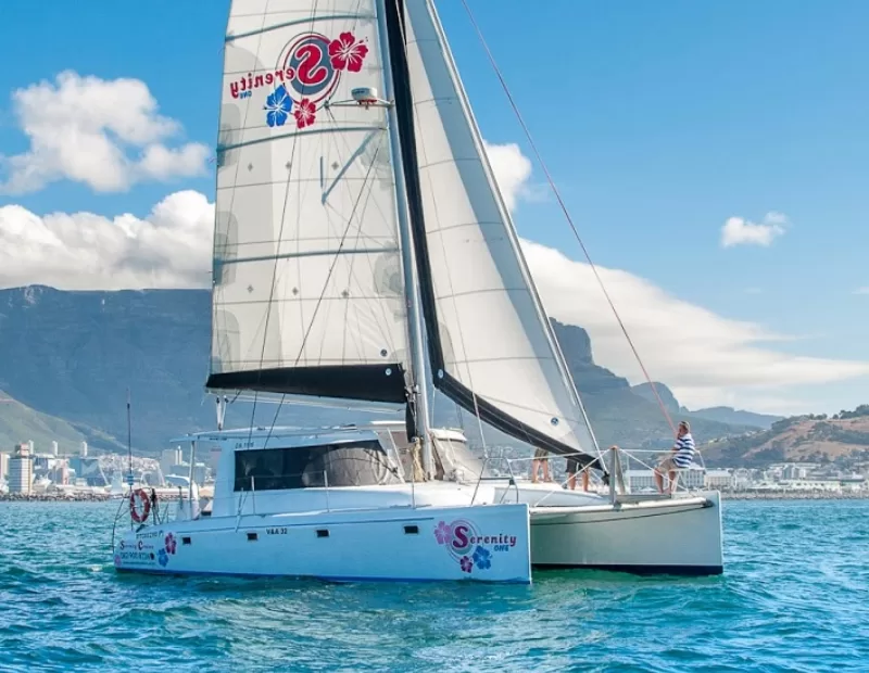 Boat Cruise Cape Town Tours