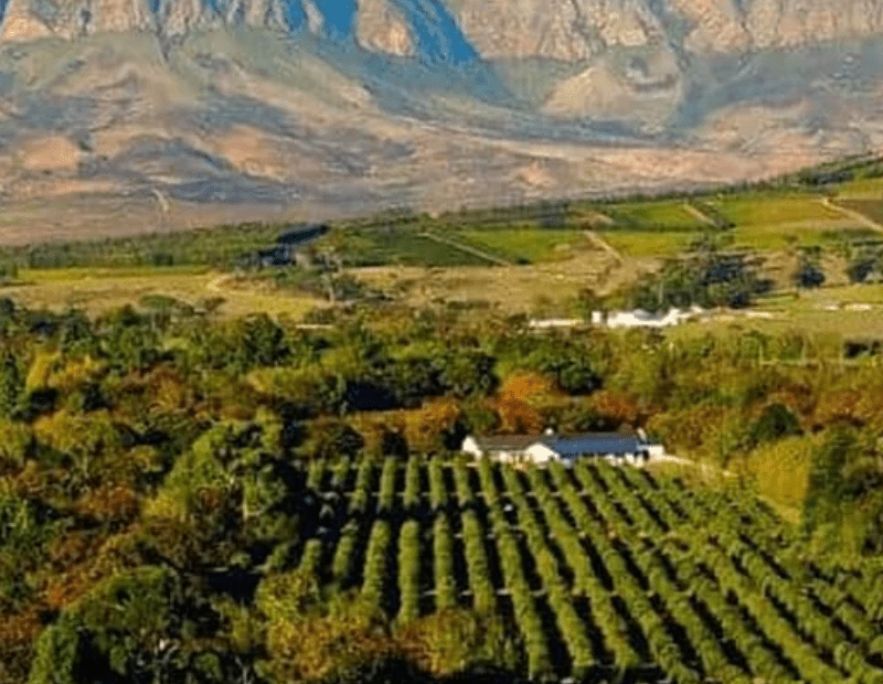 Stellenbosch Day Trip Tour