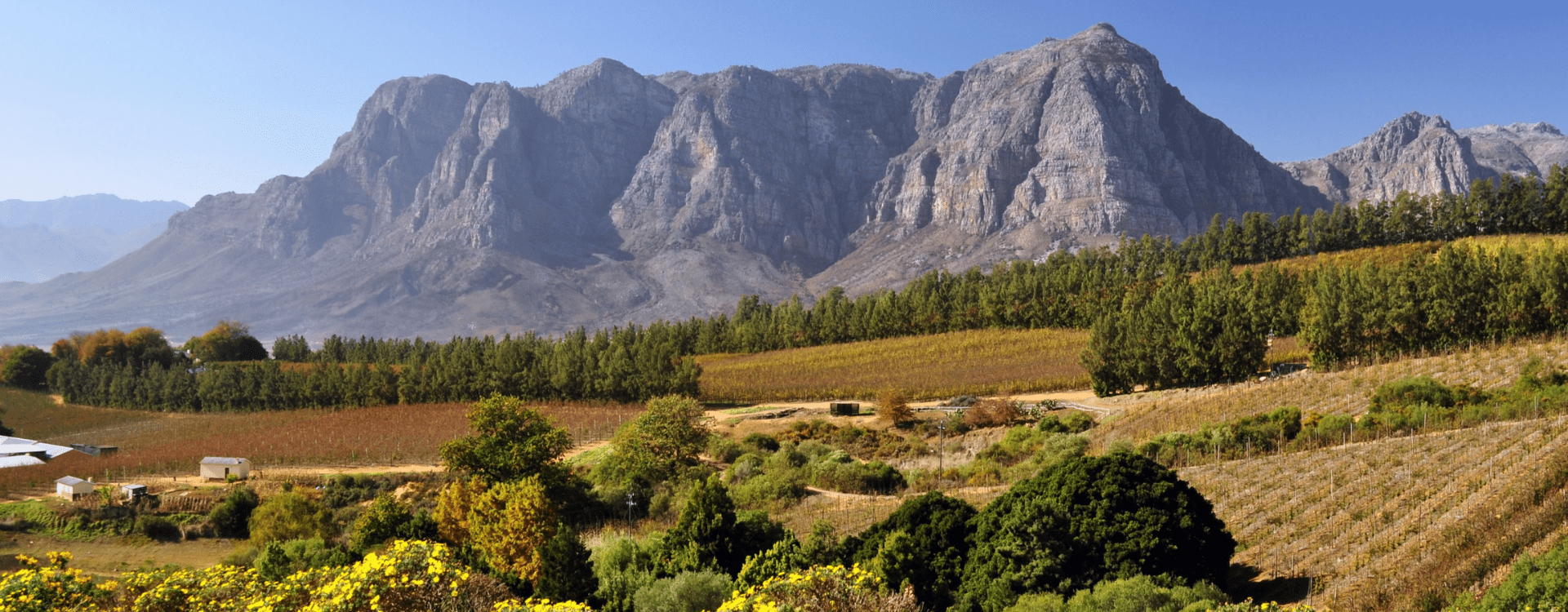 Day Trip To Stellenbosch