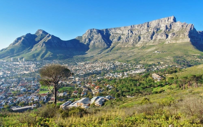 Cape Town in January