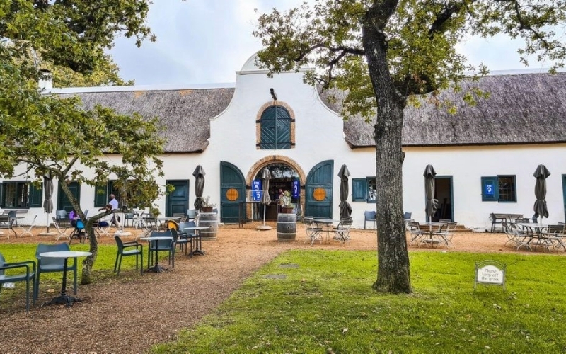 Wine Tasting at Groot Constantia