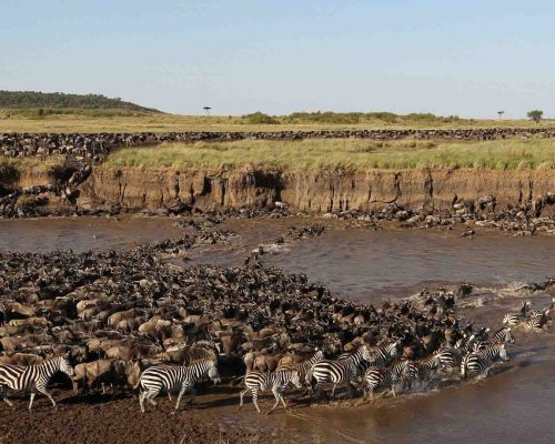 SERENGETI NATIONAL PARK1