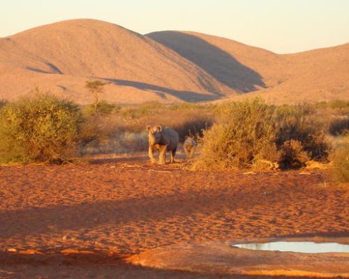 Tswalu Kalahari Reserve1