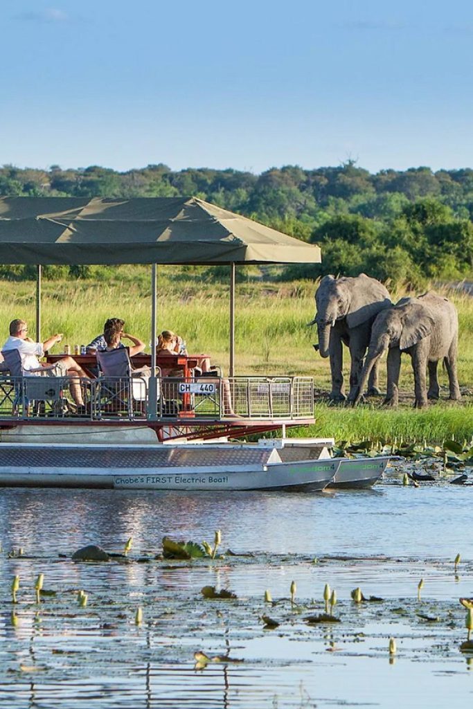 chobe-national-park1