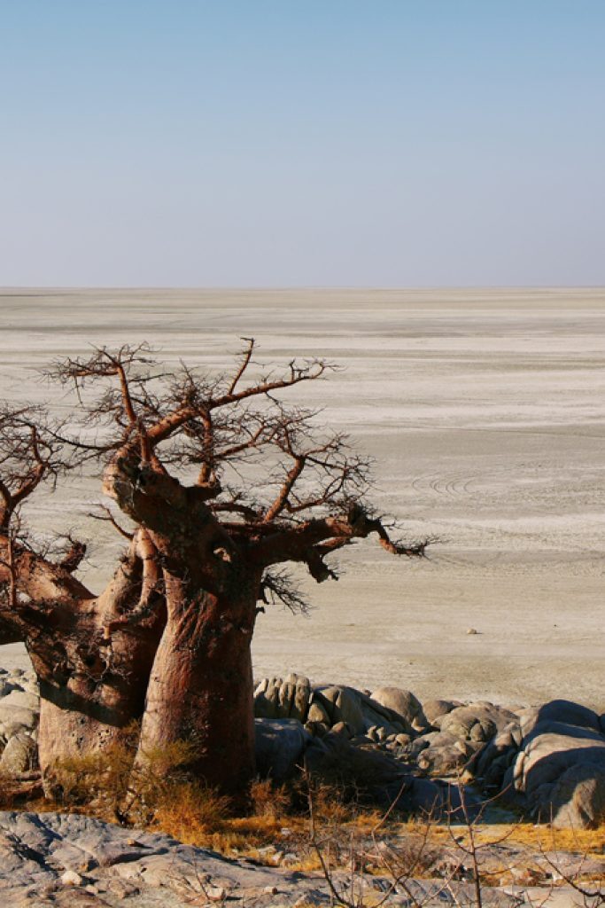 makgadikgadi-pans-national-park1