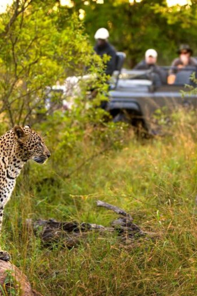 moremi-game-reserve1